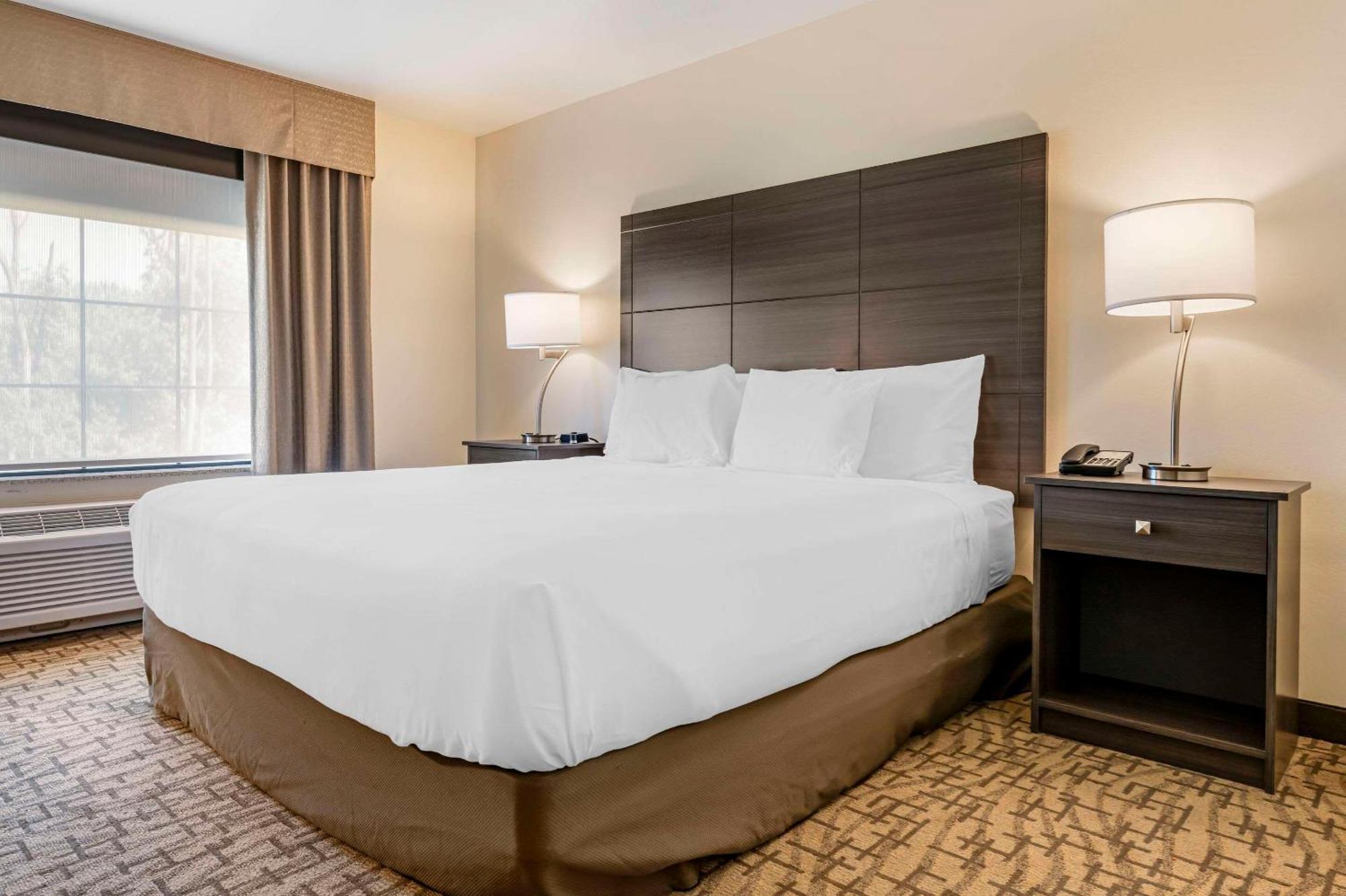 Comfort Inn & Suites Medina Exteriér fotografie